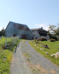 Farm driveway